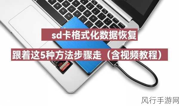 轻松找回 SD 卡丢失数据的秘诀