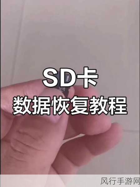 SD 卡损坏修复与数据恢复全攻略