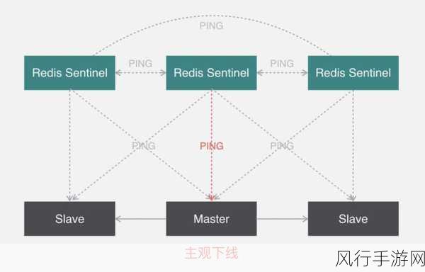 探索 Redis 和 Codis 的多样应用场景