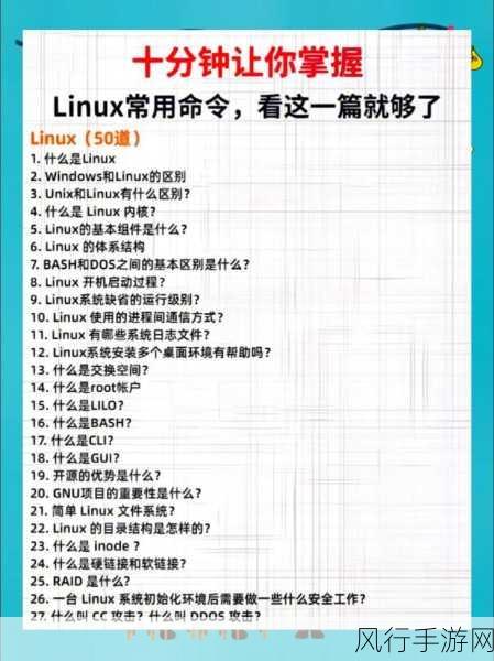 掌握 Linux SSH 命令的必备技巧指南