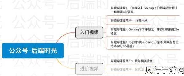 解锁 Go 语言视频处理效率提升的秘诀