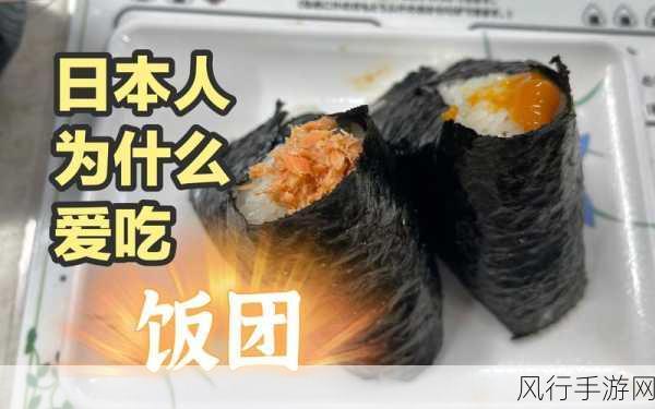 轻松上手饭团探书 APP——详细使用攻略