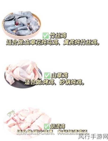 模拟农场25鸡场高效运营秘籍，饲料筹备至售卖时机全解析