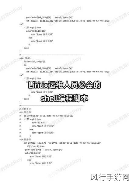 探索 Linux 下 Shell 性能优化的奥秘