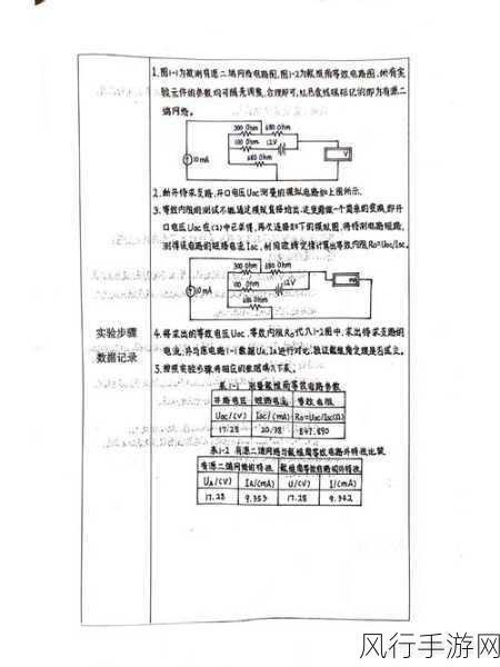 深入探究 PHP 中 gettype 在数据验证中的关键作用