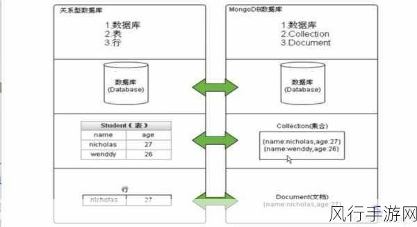 探索 MongoDB 文本搜索功能的丰富扩展