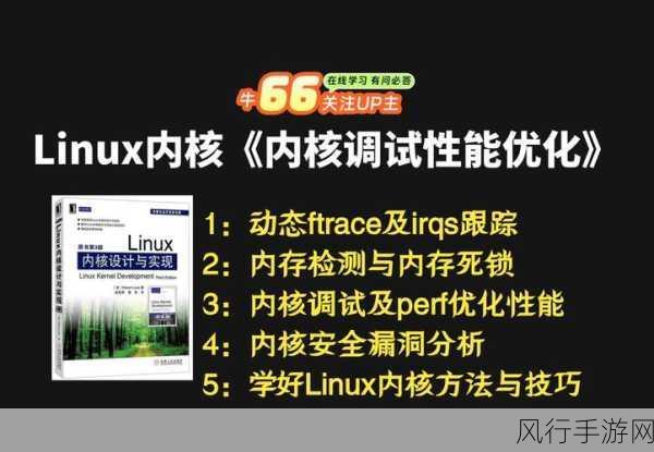 探索 Linux 内核优化的艰难征程