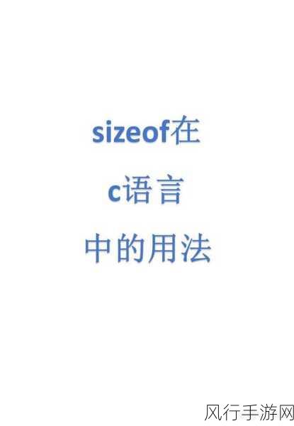 深入解析 C 语言中 set 的用法