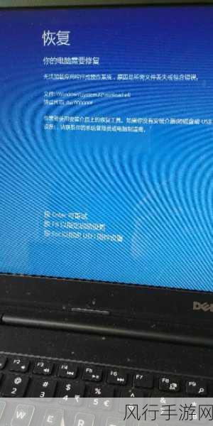 解决 DELL 双显卡笔记本电脑玩大型游戏蓝屏的难题