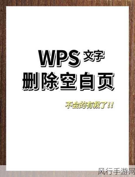 轻松掌握搜狗高速浏览器空白页设置技巧