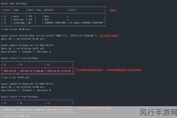 MySQL 数据类型的精准抉择之道