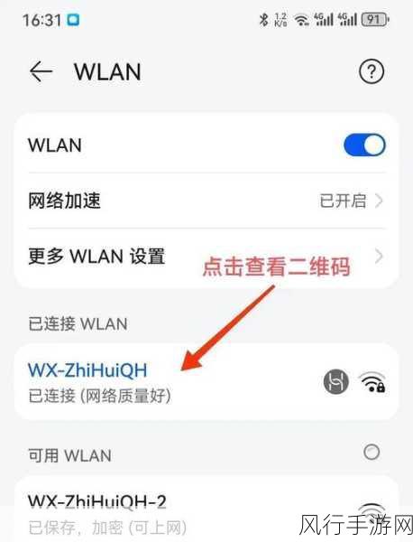 轻松掌握，Win11 查看 Wifi 密码的妙招