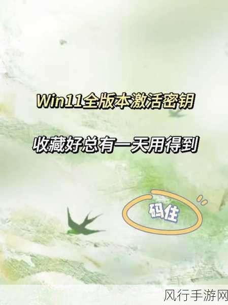 解锁 Win11 的神秘钥匙，激活全攻略与密匙大放送