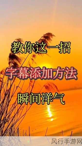 抖音歌曲字幕显示秘籍，轻松掌握的妙招