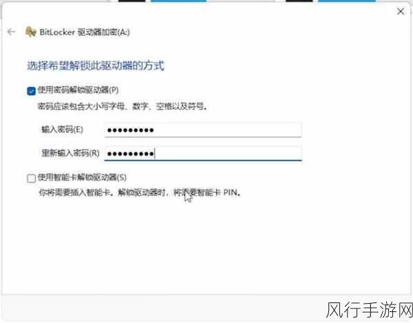 轻松破解 Win11 BitLocker 加密的有效方法