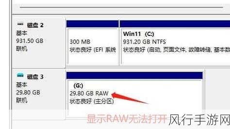 轻松解决 U 盘变为 RAW 格式及数据恢复难题