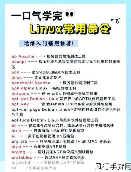 探索 Linux 指令对进程的精妙管理