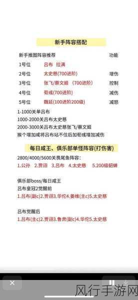 咸鱼之王161-1阵容通关深度剖析，策略、角色与技巧全面解读