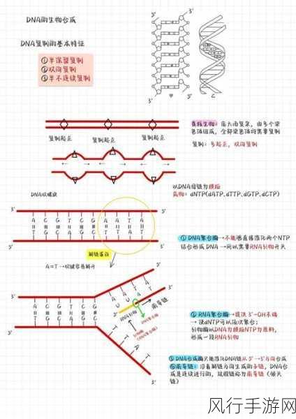 深入解析 ArangoDB 数据复制因子的重要意义