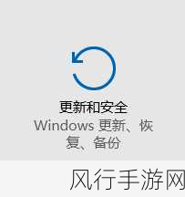 解决 Win10 老头环白屏闪退的实用指南