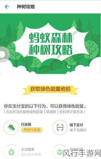 支付宝免充值支付卡片专利，手游支付新纪元