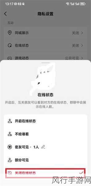 抖音隐身秘籍，轻松隐藏在线状态