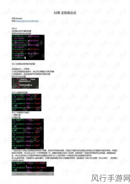 探索 Ruby 正则表达式的高效秘诀