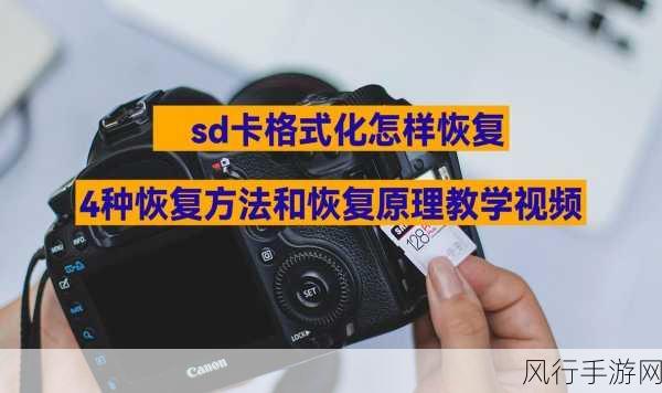 格式化 SD 卡的恢复秘籍