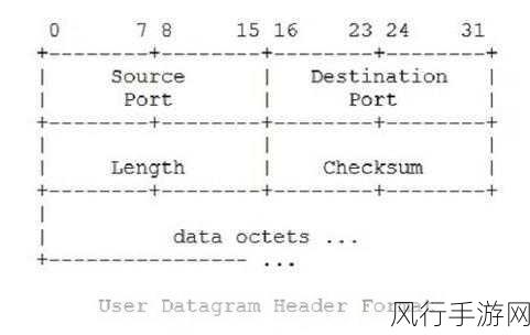 UDP 通信编程中的错误处理策略全解析