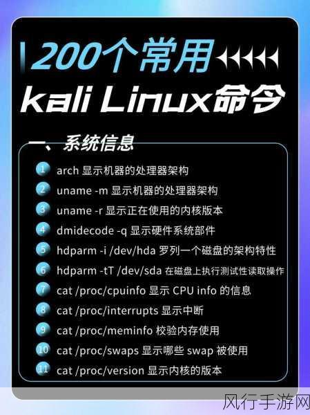 探索 Linux 指令的神秘世界