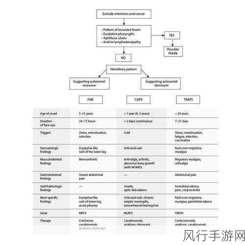 探究 Rust 中 Derive 与特征约束的紧密关联