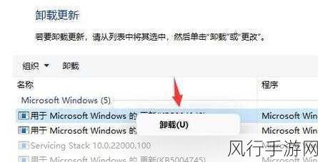 轻松解决 Win11 任务栏闪屏难题