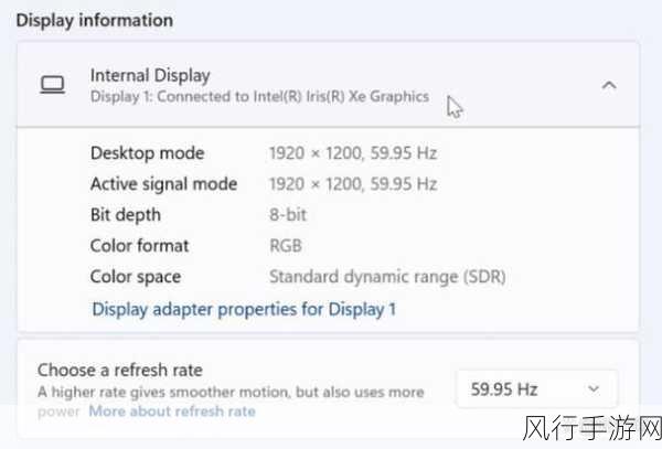 探索 Win11 系统对显卡的独特需求