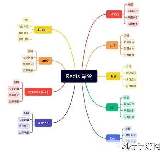 探索 Redis HVals 在业务需求中的应用