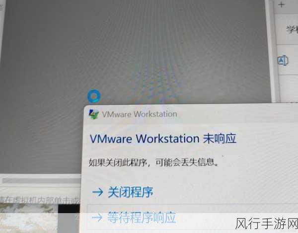 探究 Winform 在 Linux 运行卡顿的原因