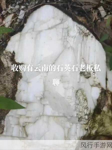 冰原守卫者石英石产地揭秘，矿山副本成关键资源点