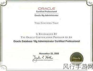 探索 Oracle 数据库 OCP 考试的神秘领域