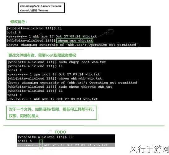 深入探究 Linux 中 chmod 命令的权限设置之道