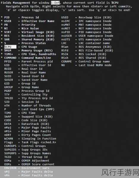 探索 Linux 查找命令的高级魔法